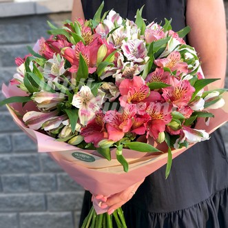 Букет из 23 альстромерий