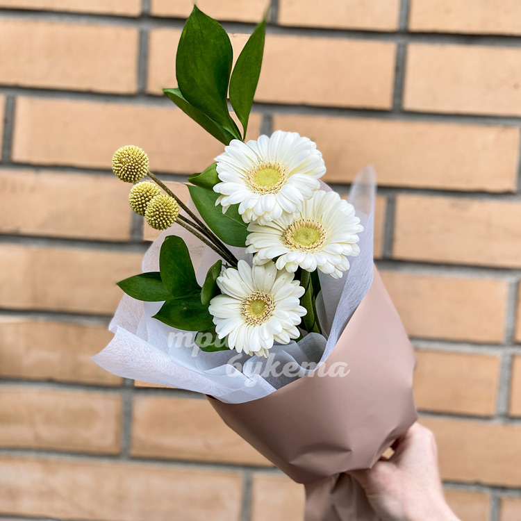 Мини-букет из гербер ( на фоне стены)