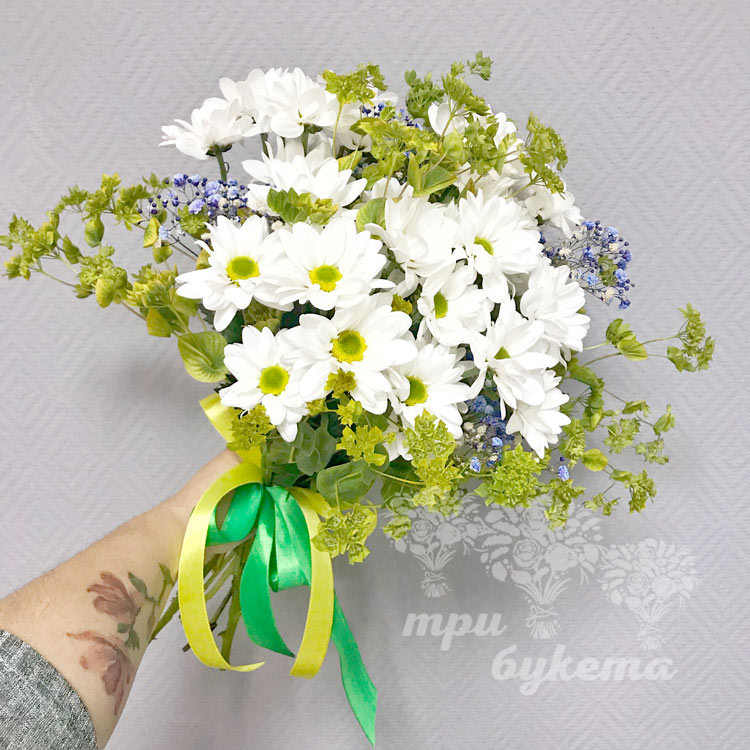 Букет из ромашек и оксипеталумов
