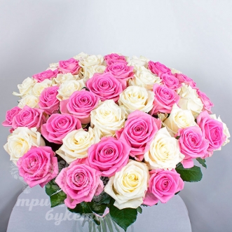 51-belo-rozovaya-roza